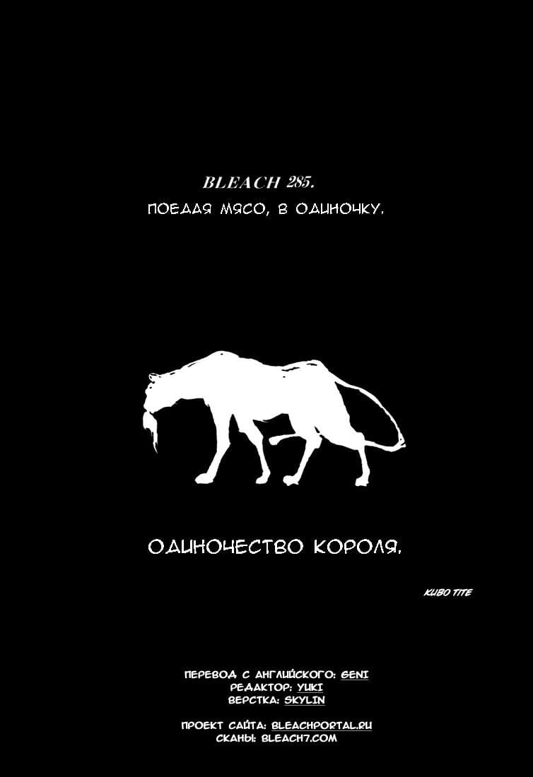 Блич — том 32 глава 285, страница 5