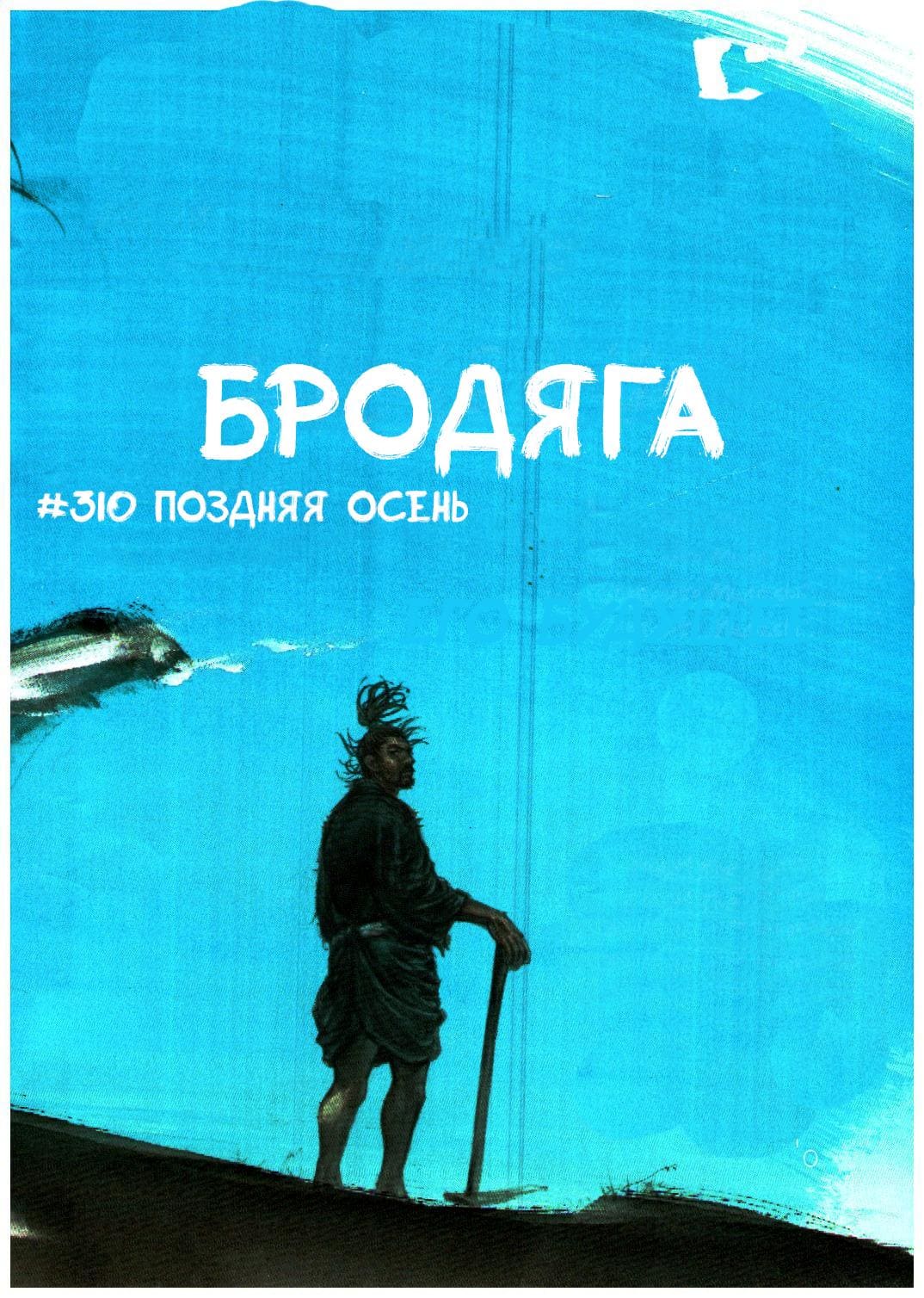 Бродяга — том 36 глава 310, страница 5